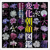 変化朝顔図鑑