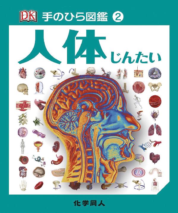 手のひら図鑑②　人体