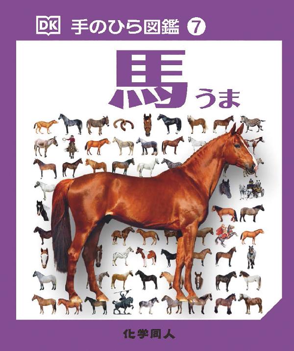 手のひら図鑑⑦　馬