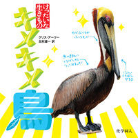 キメキメ　鳥