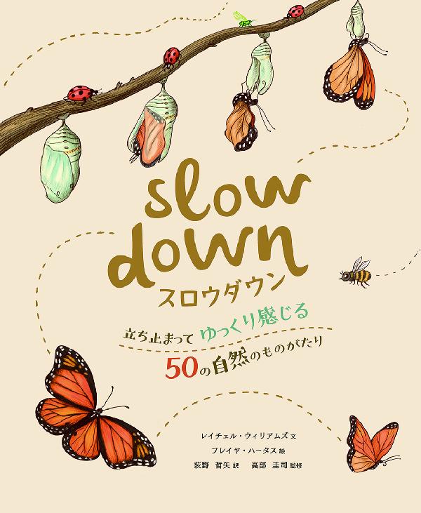 スロウダウン