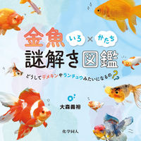 金魚いろ×かたち謎解き図鑑