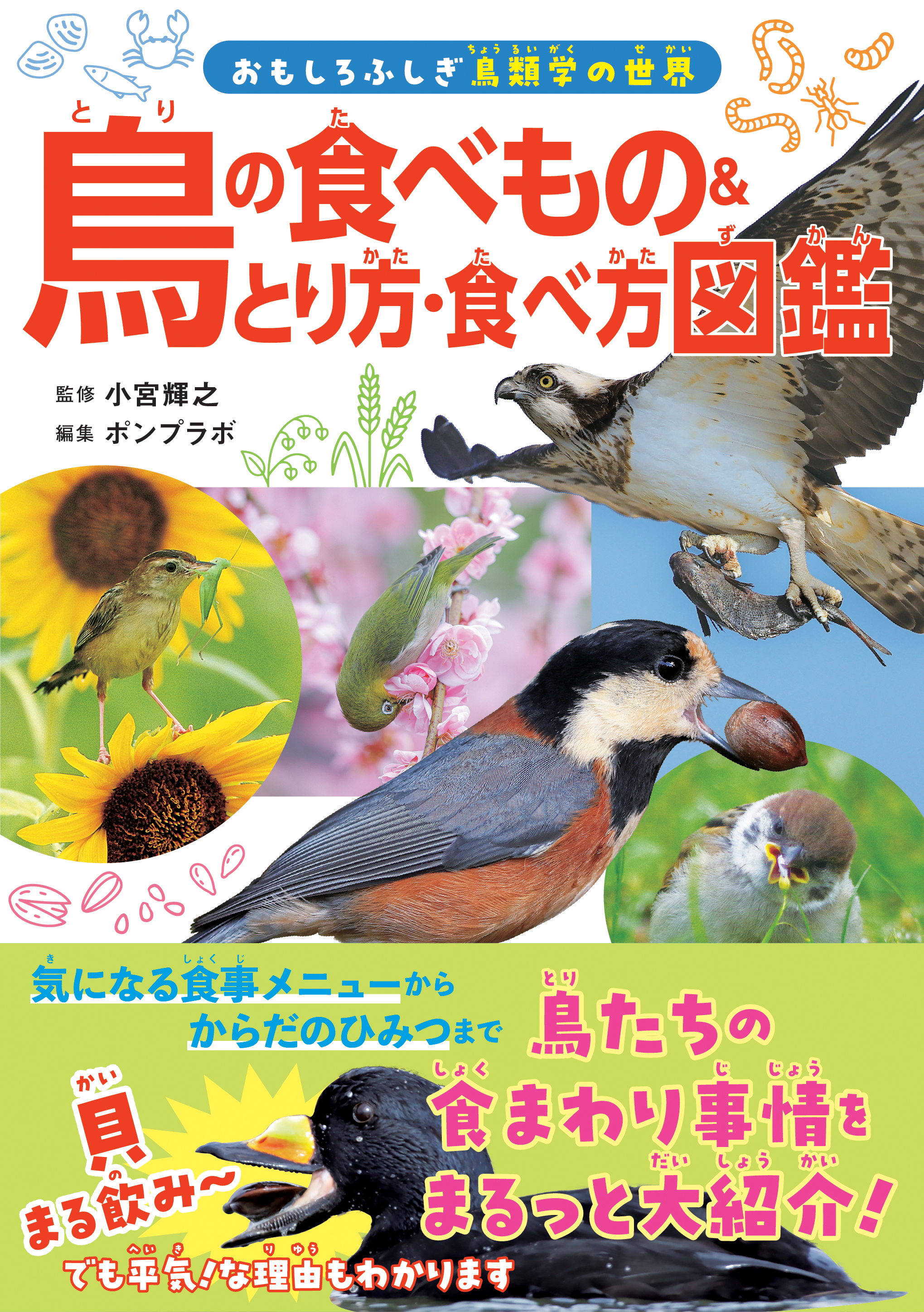 鳥の食べもの＆とり方・食べ方図鑑