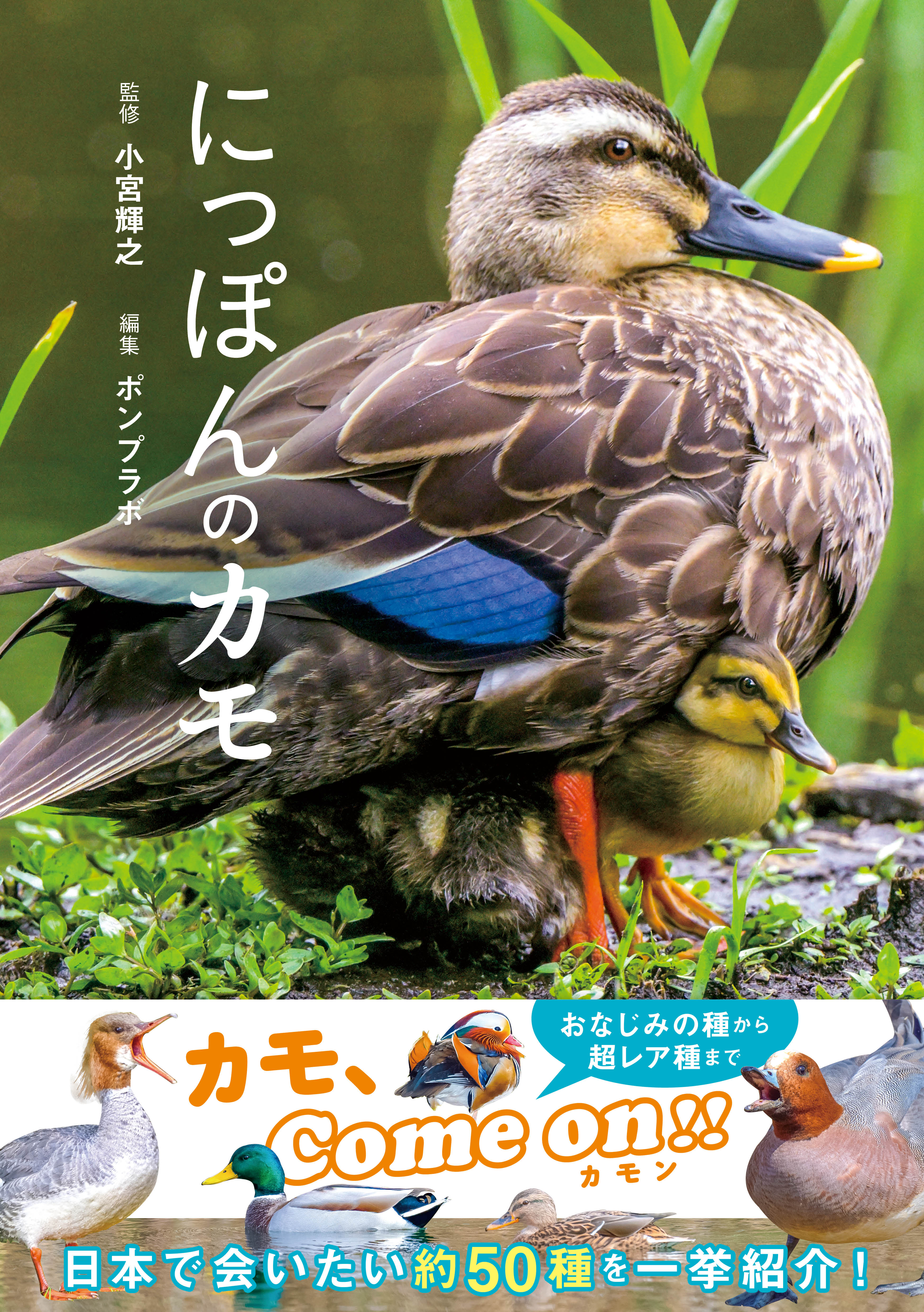 にっぽんのカモ