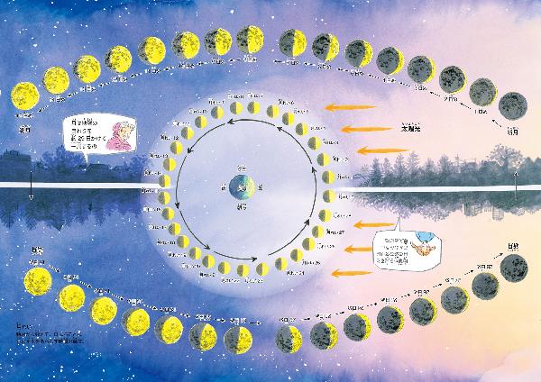 月の満ち欠けのひみつ ～ミズキさんのムーンクッキー～｜選書リスト