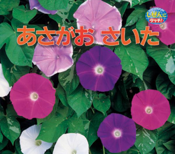 あさがおさいた